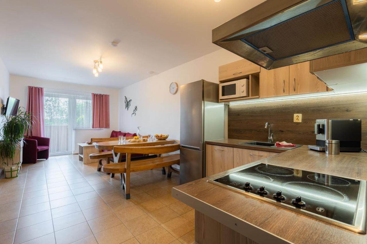 Horní Planá Apartments Nad Rybniky מראה חיצוני תמונה