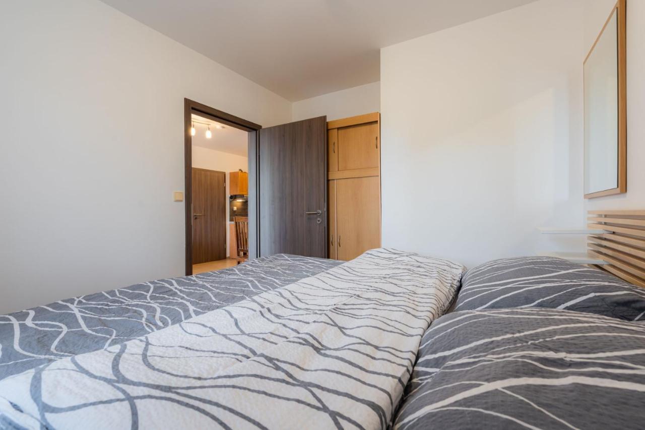 Horní Planá Apartments Nad Rybniky מראה חיצוני תמונה